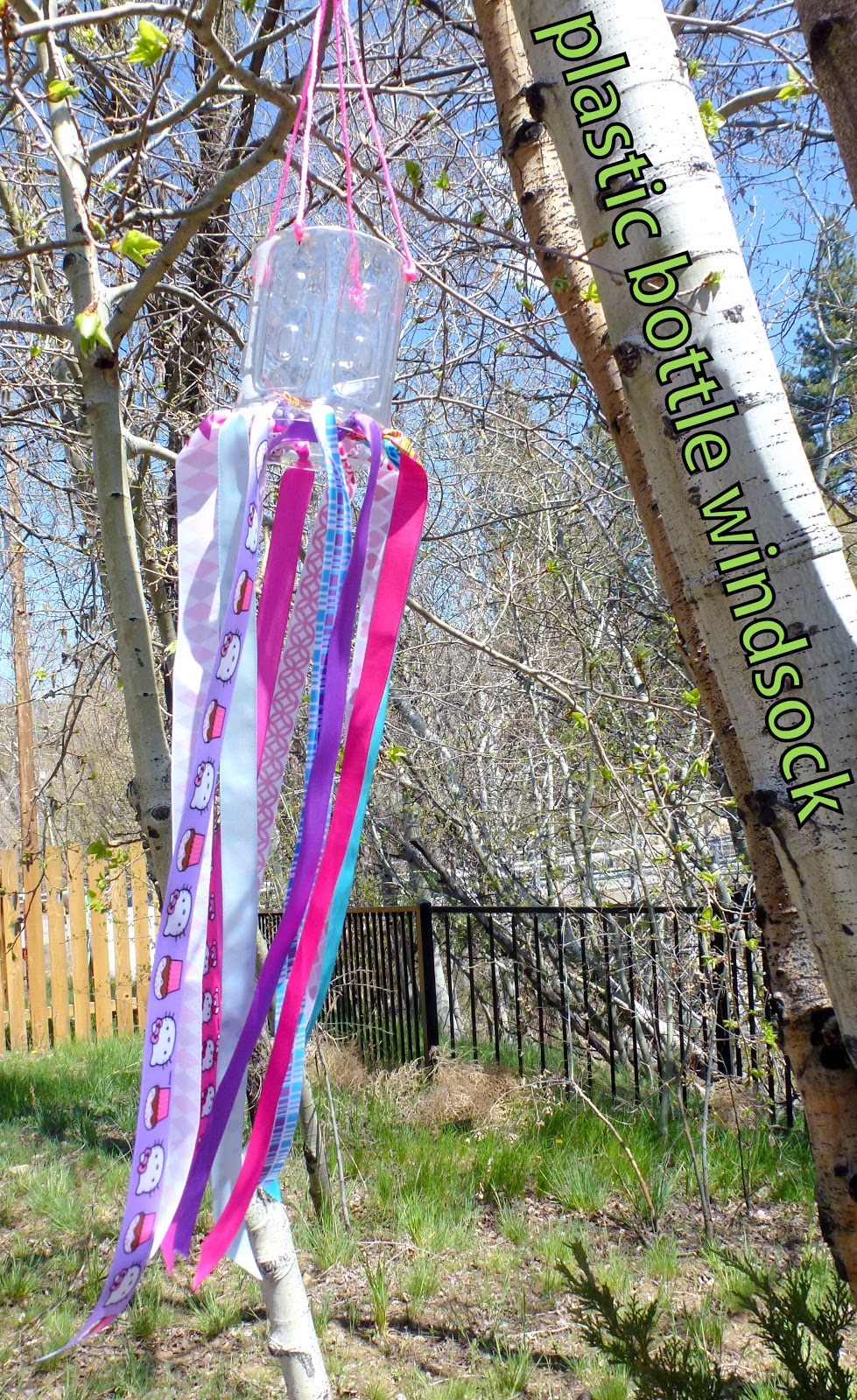 Choices for Children Plastic Bottle Windsocks