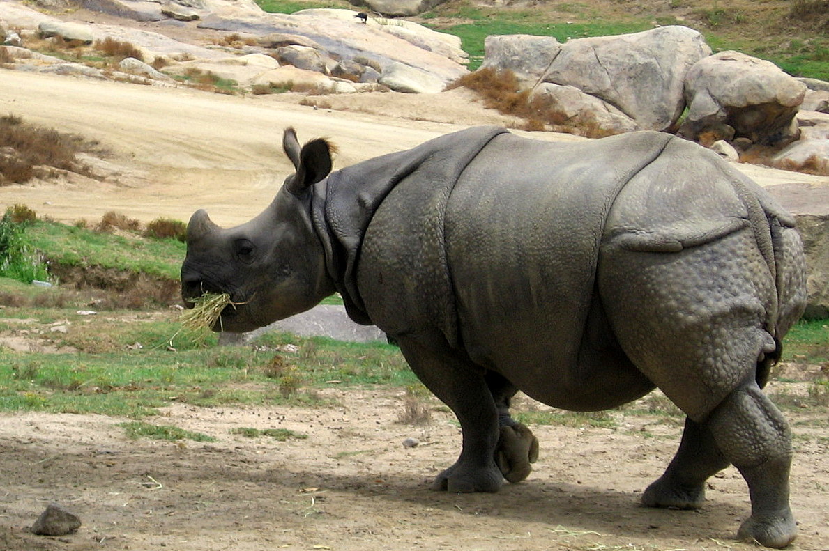 Sensor network thesis