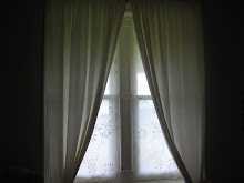 Bedroom Window