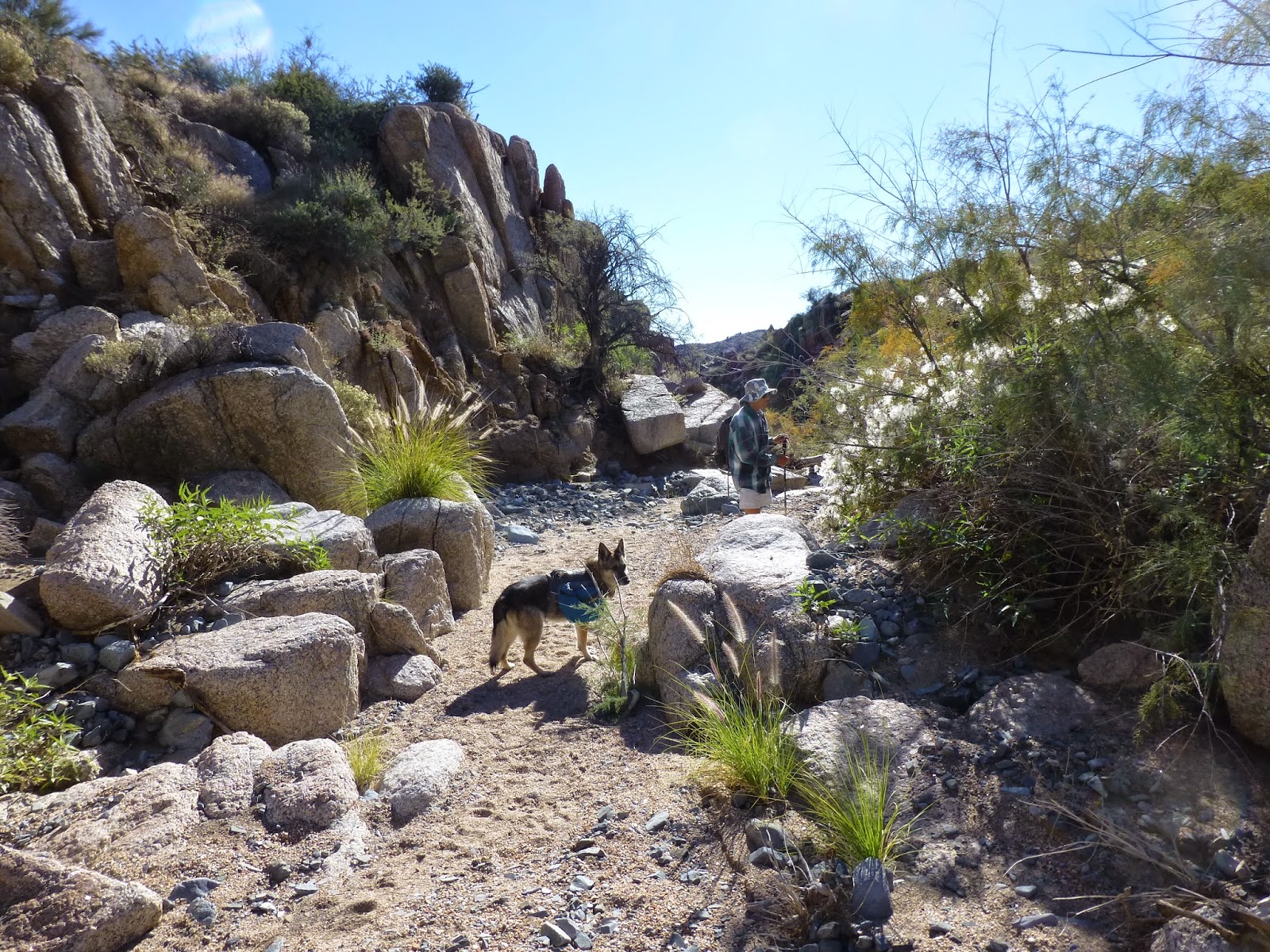 Hiking Camp Creek Falls, Tonto National Forest, Arizona