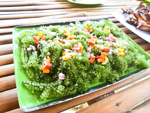 Seaweed Lunch in Coron, Palawan