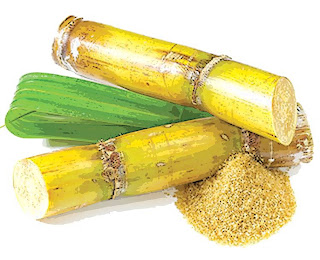 TJ / FITNESS El Azúcar de Caña