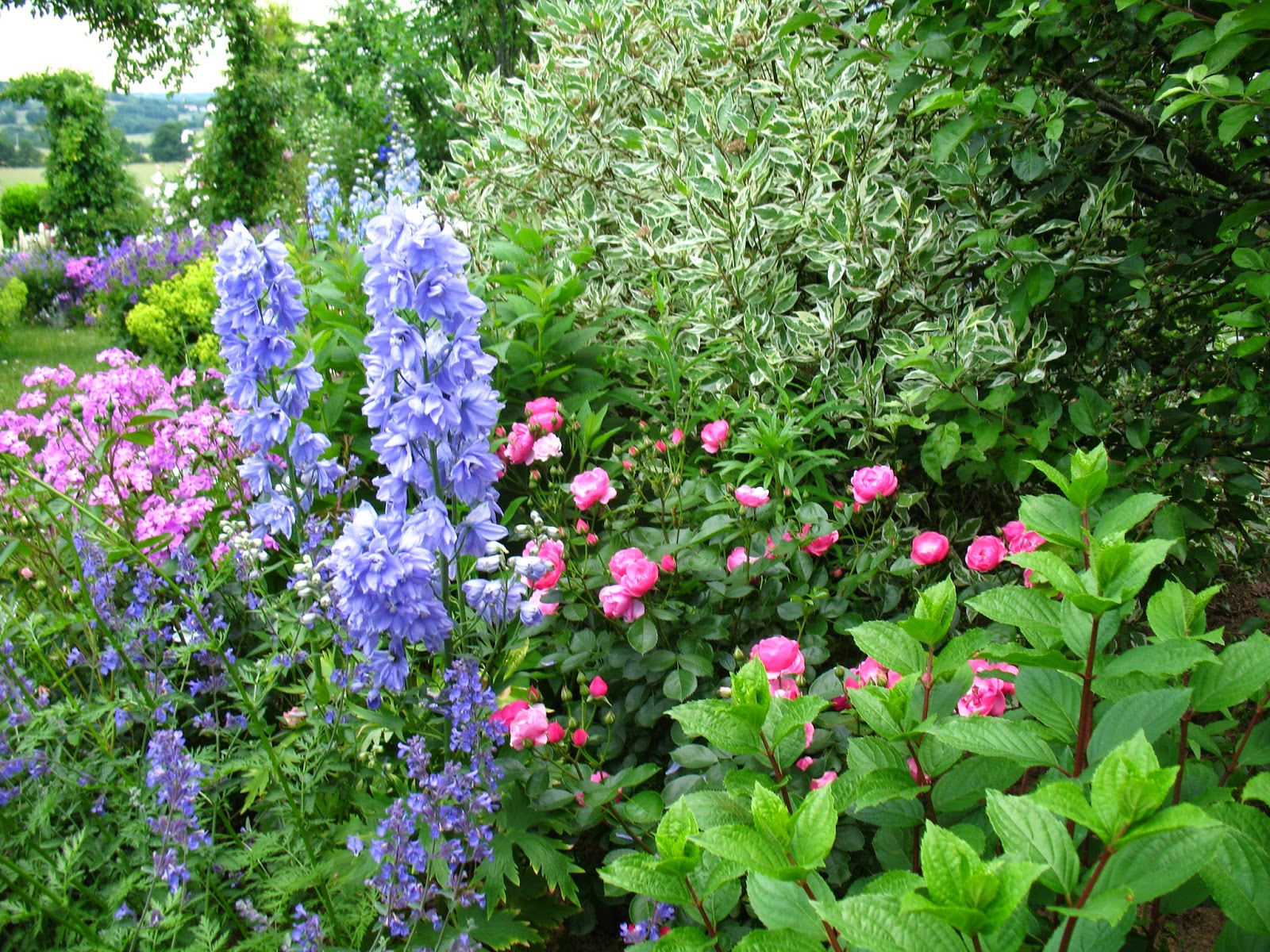 Promenade Au Jardin De Lili Dans Le Poitou Novembre 2015
