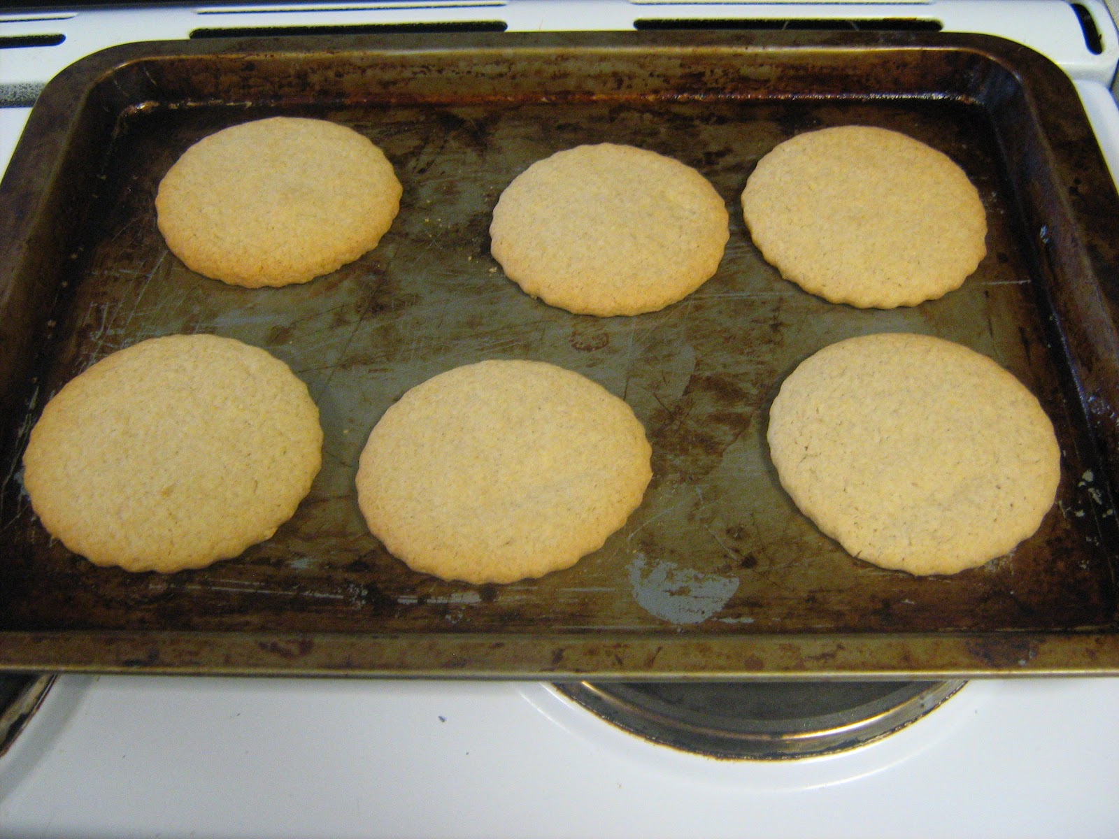 Nova Cooks Basic Biscuits Function of Ingredients
