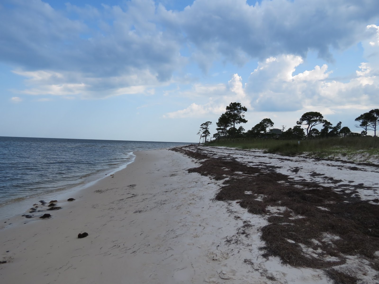 Knick Knacks Alligator Point Photos