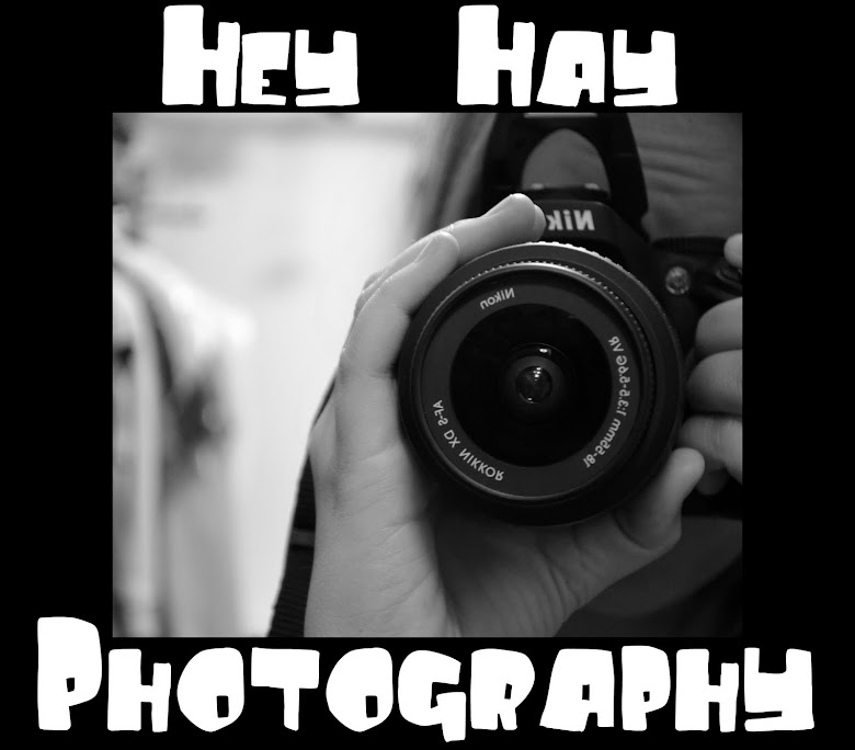 Hey Hay Photography