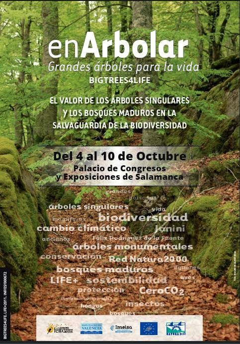 Nuestros Bosques Españoles