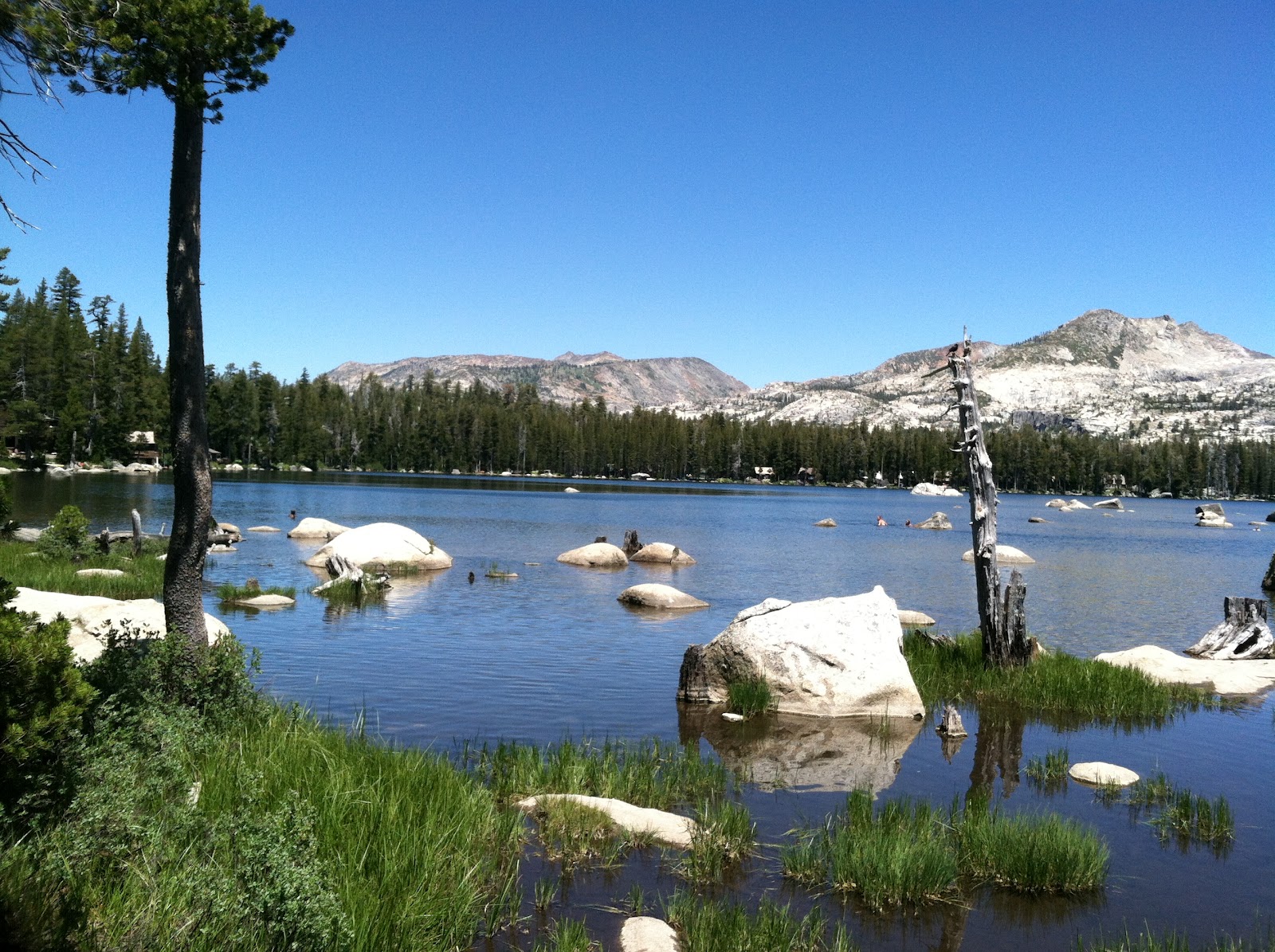 A View Between The Ears Horse Camping At Wrights Lake