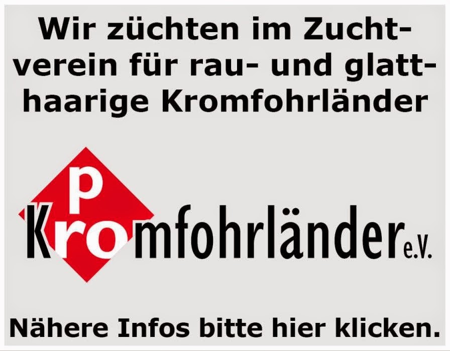 Kromfohrländer