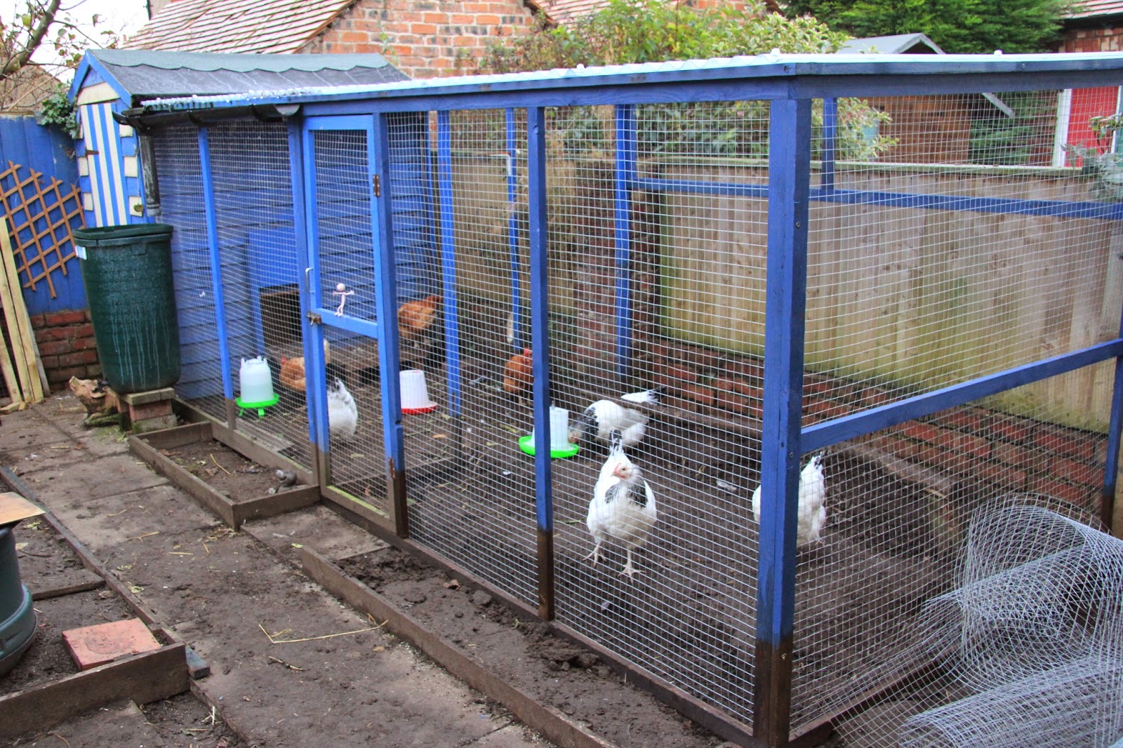 Allotment 65 Chicken run extension
