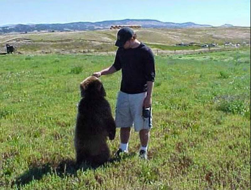 A Man Found Two Bear Cubs About to Die. Words Can’t Describe What Followed. A Man Found Two Bear Cubs About to Die. Words Can’t Describe What Followed.