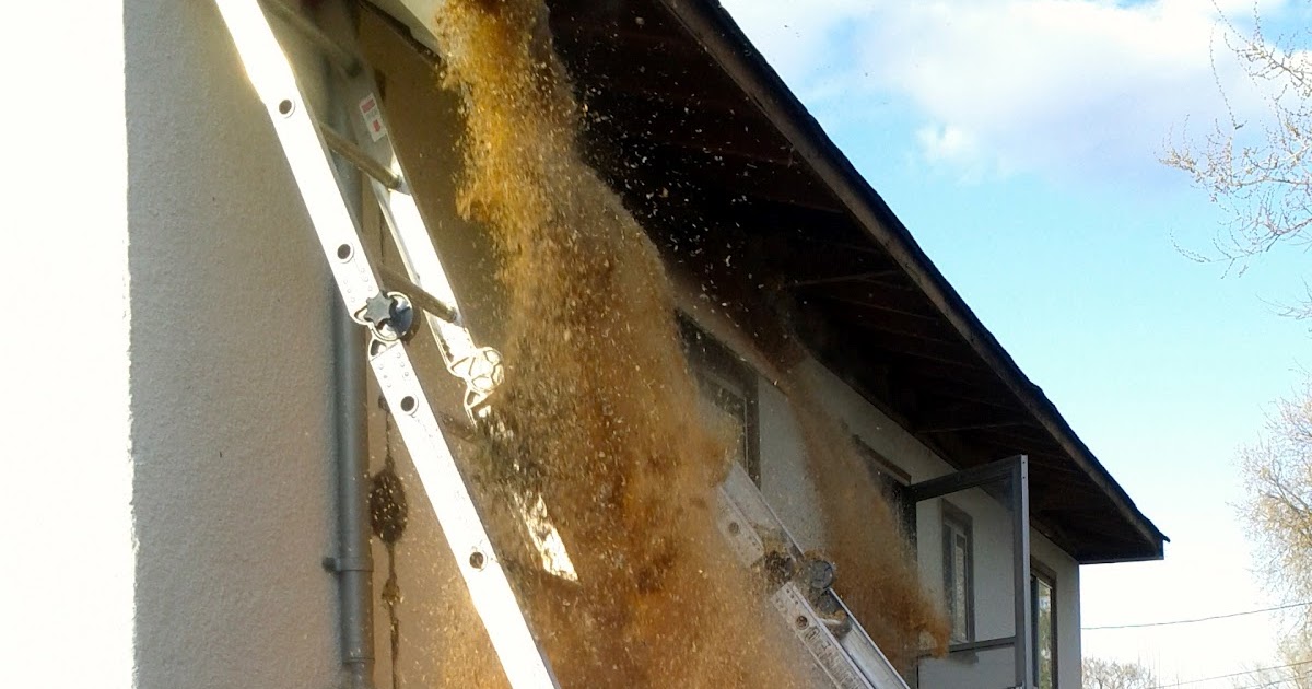 Meghan Franklin Communications Sawdust is Bad, Asbestos is Worse