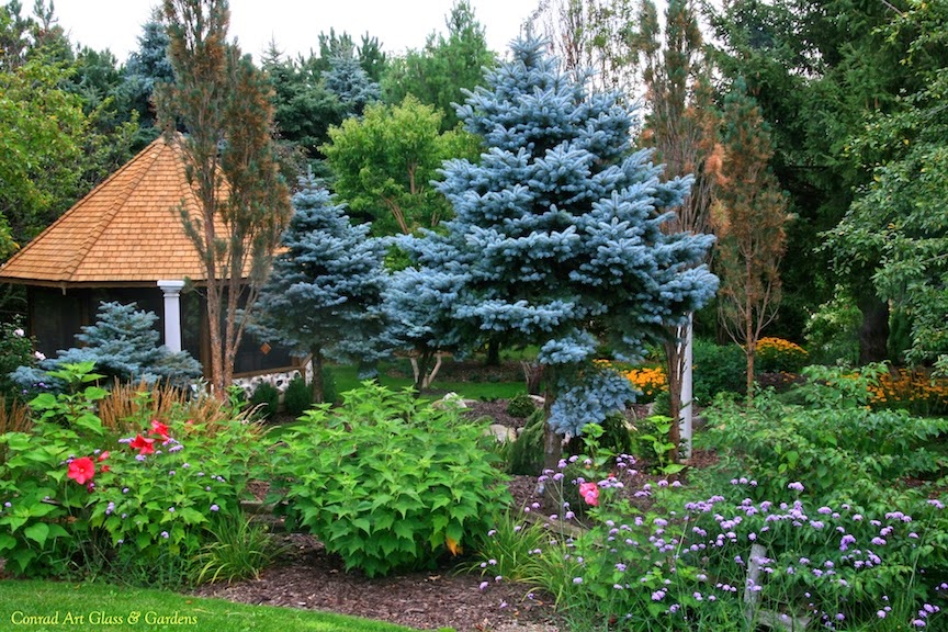 Panoply Spring Early Summer Garden A Winner