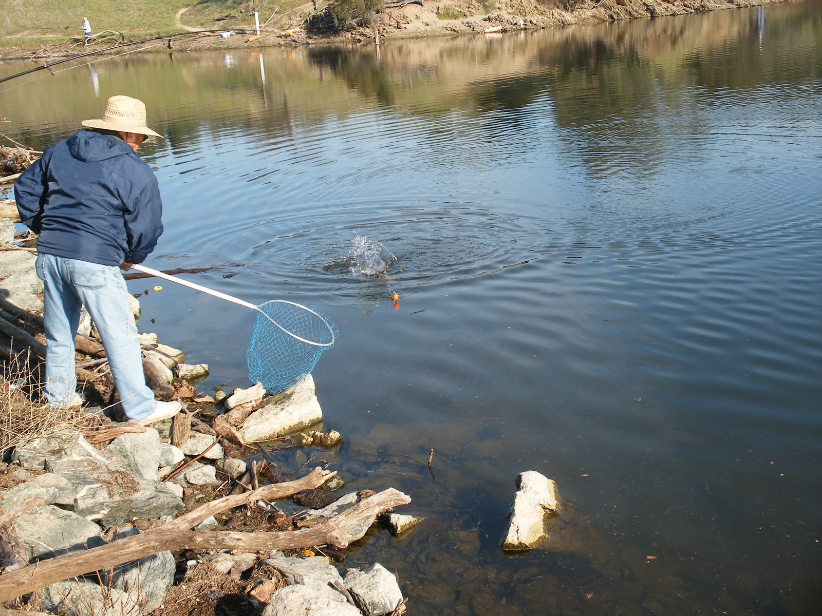 mokelumne river fishing report