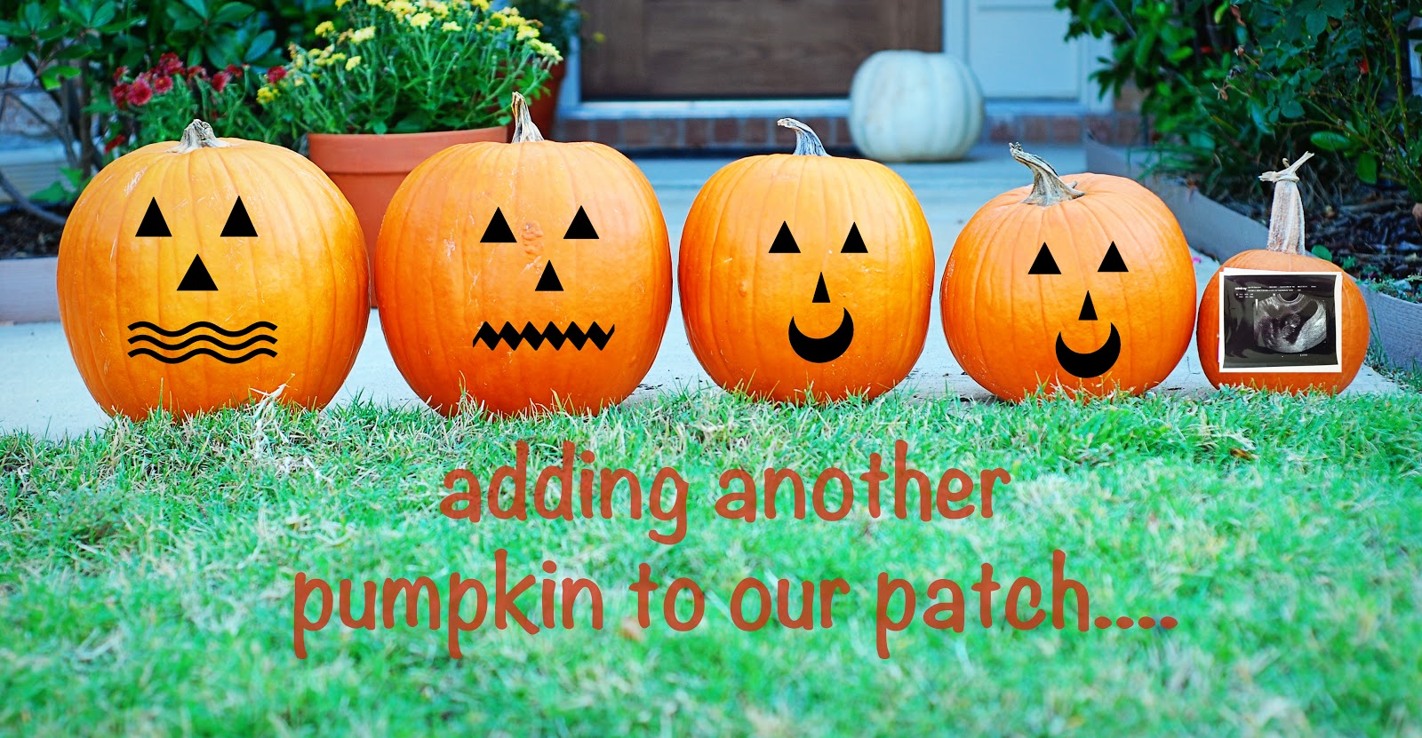 fall baby announcement ideas