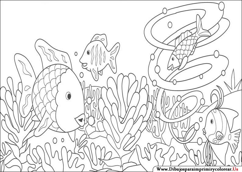 Colorear peces arcoiris - Imagui