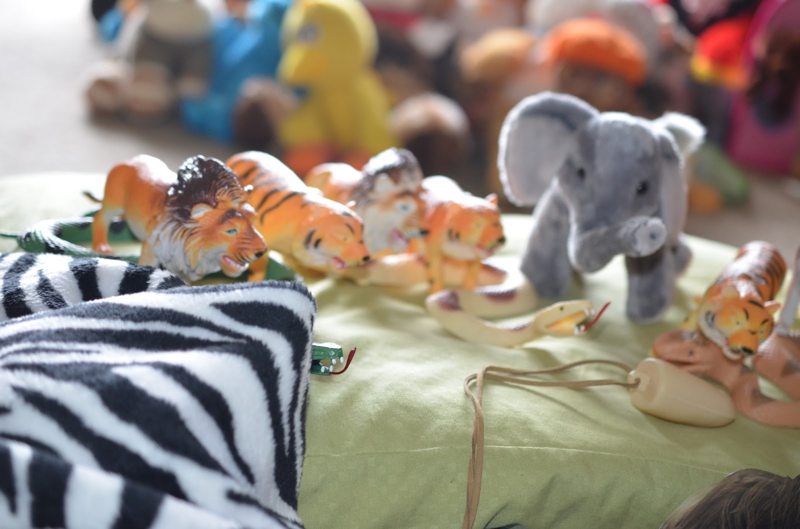 Jungle Book! Rumble in the Jungle!!