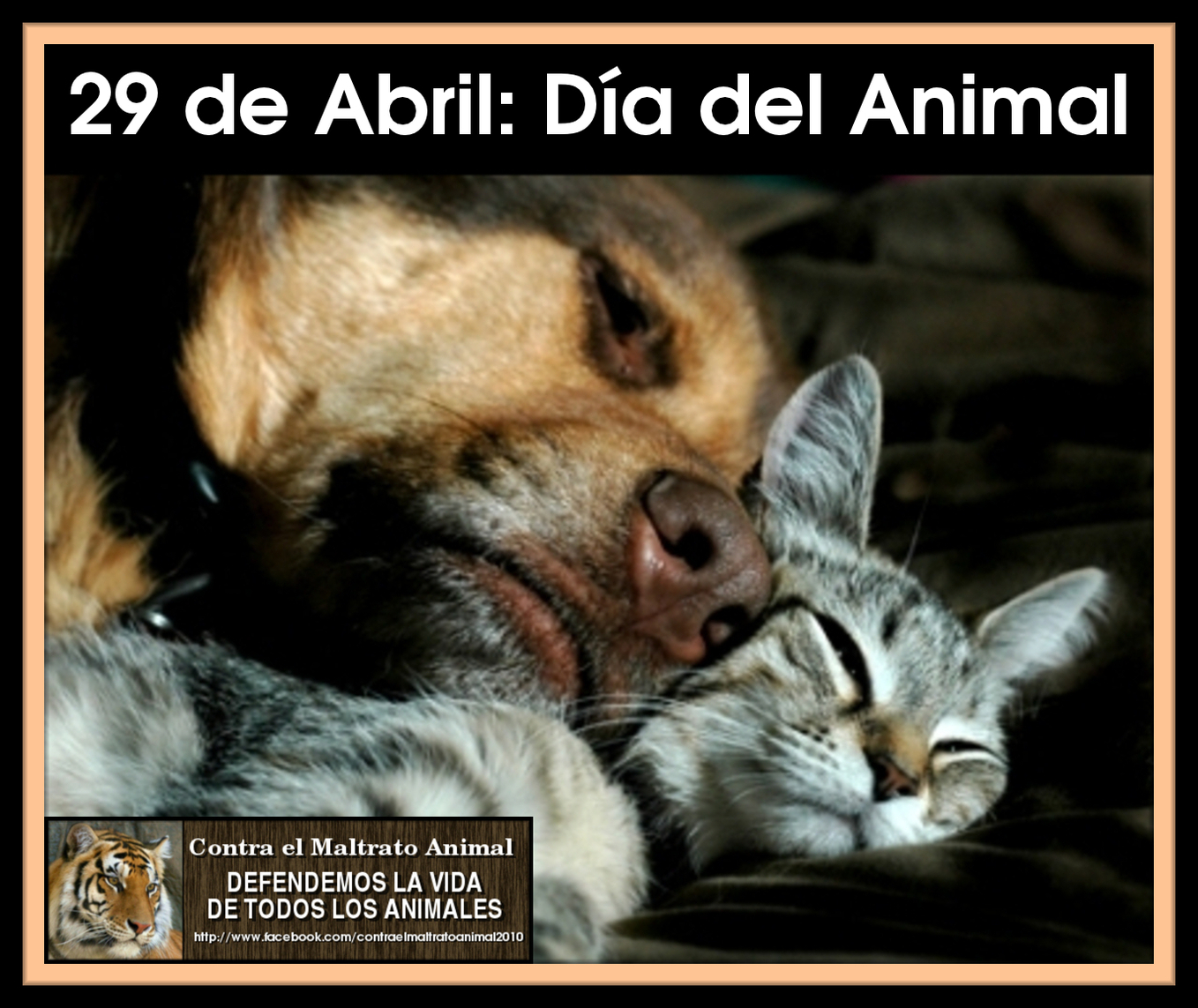 29+de+abril+Dia+del+Animal.jpg