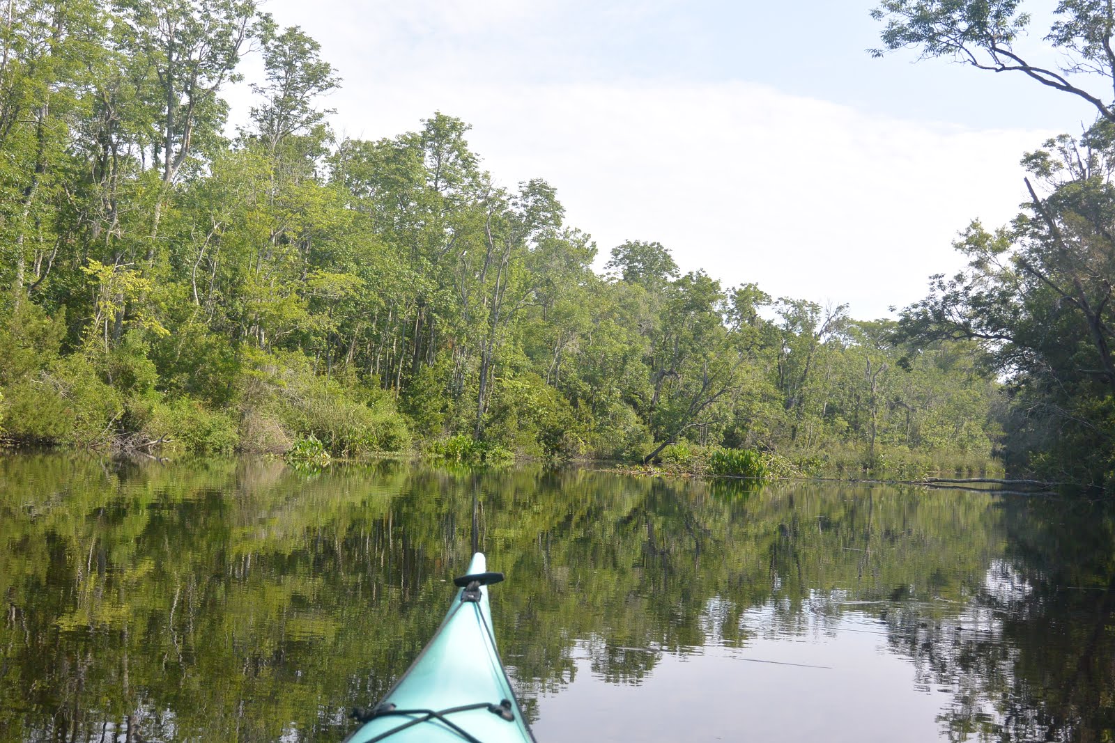 Southeastern Louisiana Paddling Beyond LAKayaking Lofton Creek