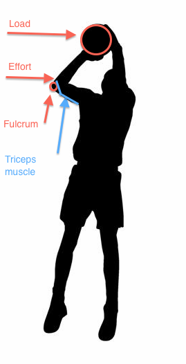 Optimum Biomechanics o...