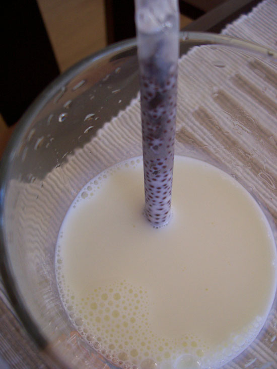 Candy Critic Chocolate Milk Straw