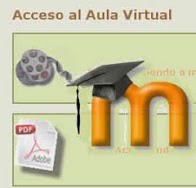 AULA VIRTUAL