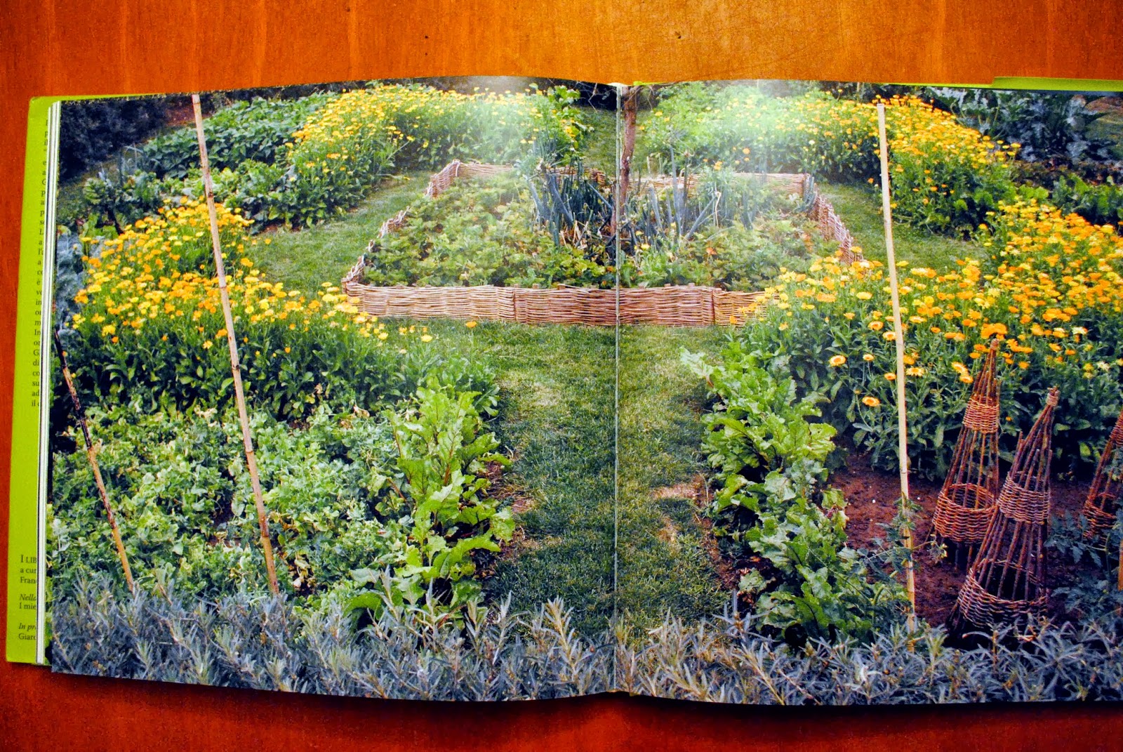 Progettazione orto giardino: di... progetto: come progettare un ... Giardino Serra idee