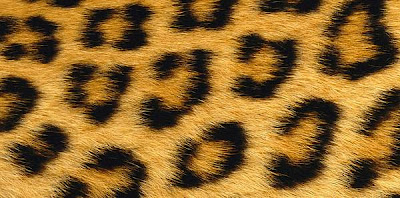 Piel de leopardo