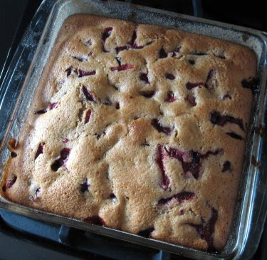 plum yogurt cake