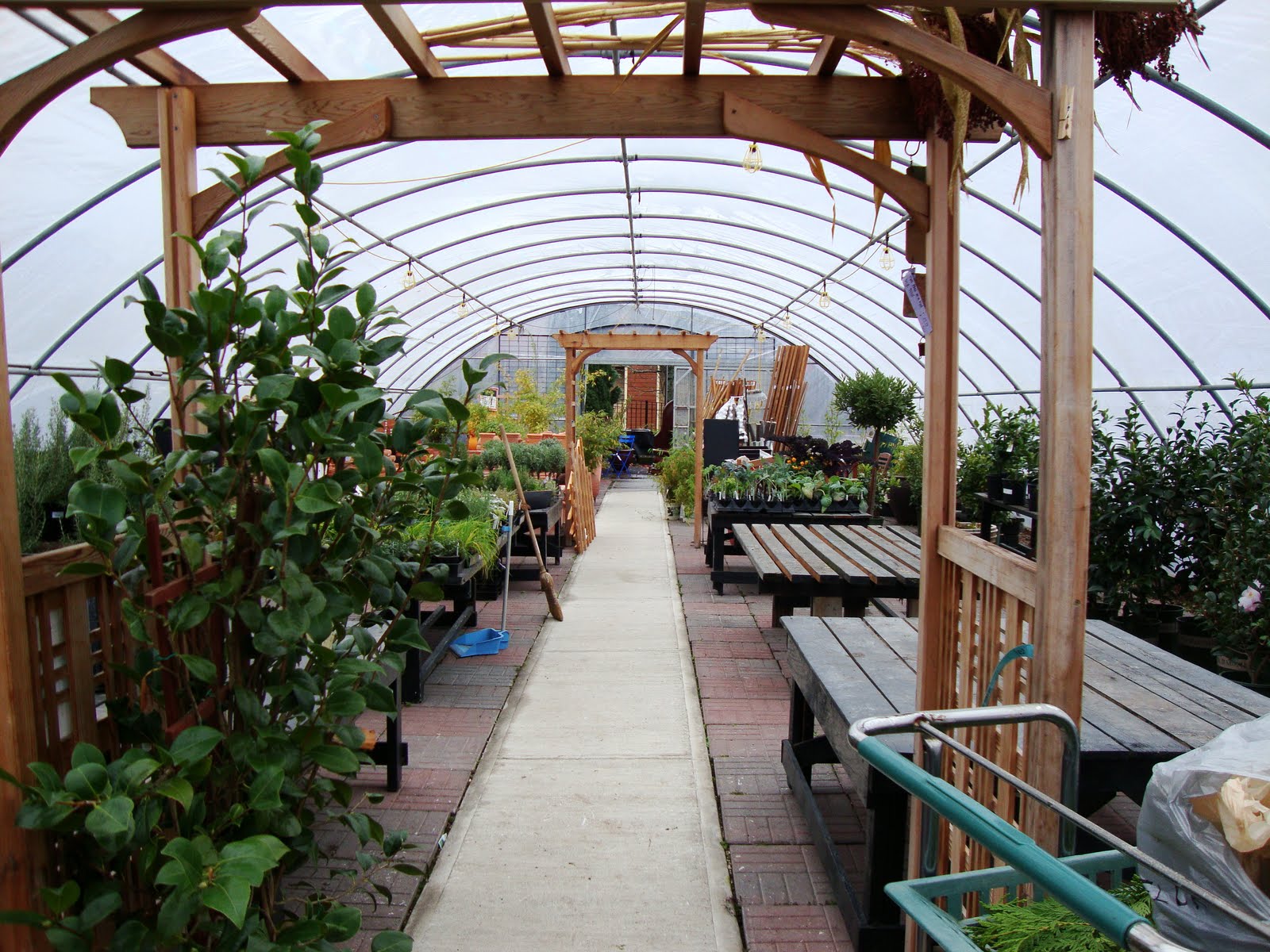 danger garden Cornell Farms, a nursery in Portland that I’d never been to!