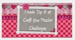 top 3 craf your passion challenge nº251