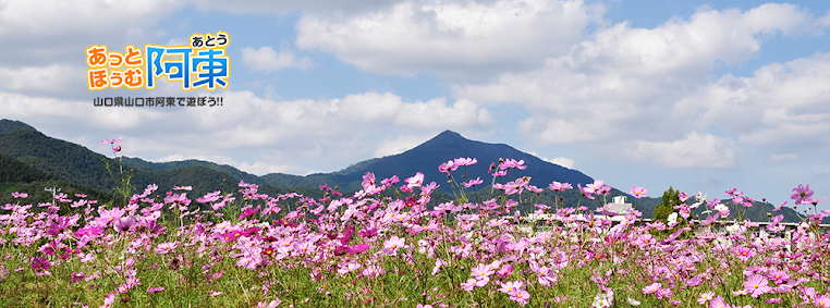 山口市阿東 ほ むあとうブログ 6月 11