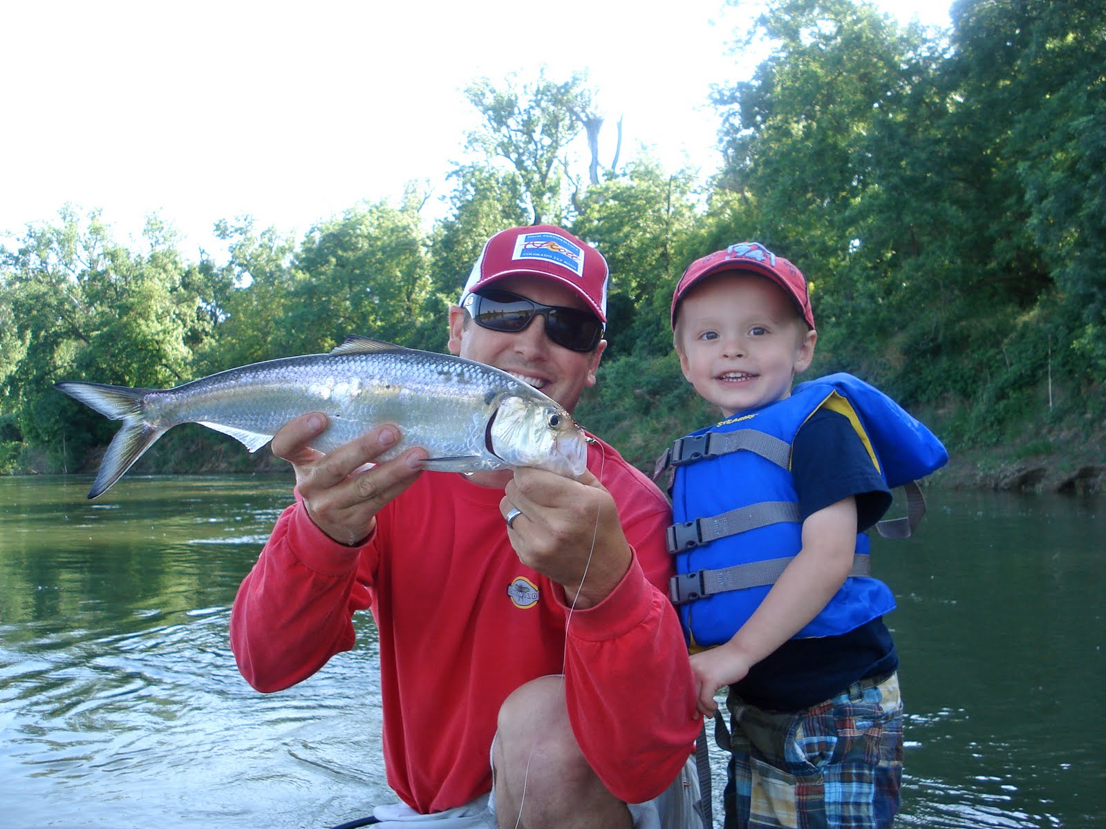 hgbflyfishing Shad fishing and Ollies first fish!!!!
