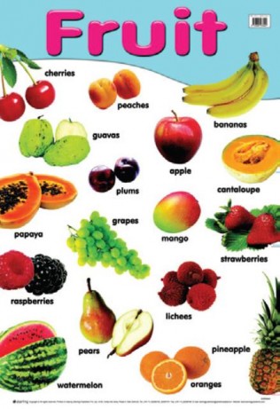 charts children posters learning fruit things early colorful july