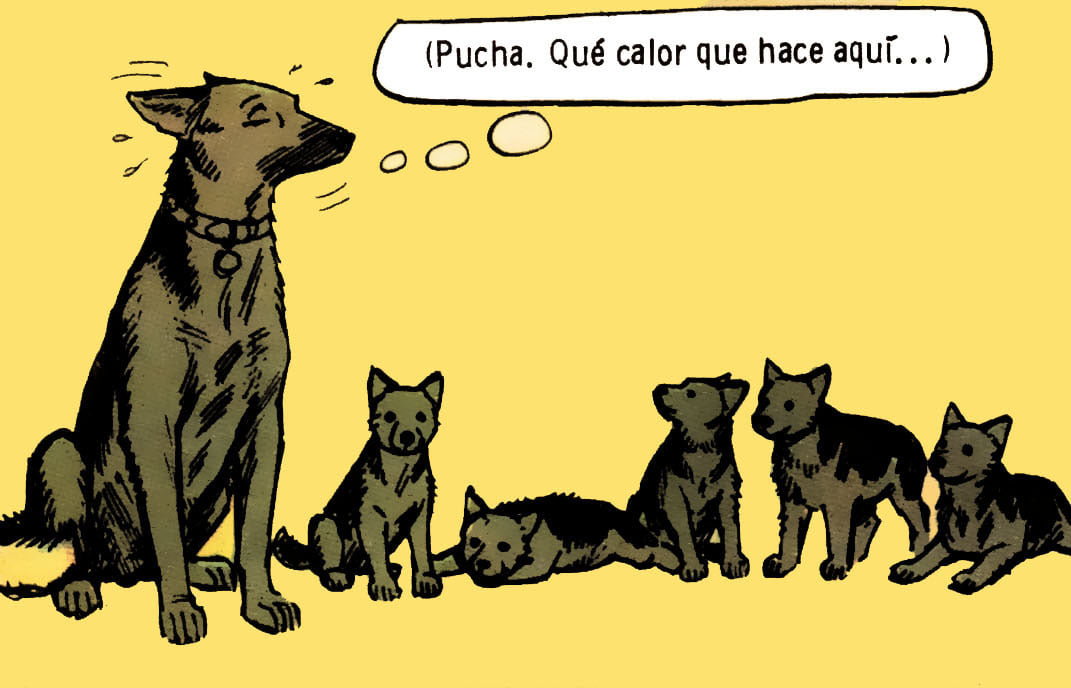 COSAS DE PERROS