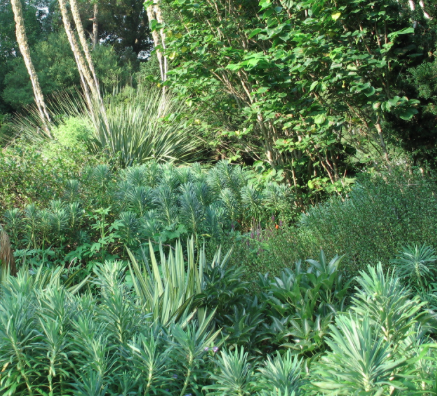 Short Stories All The Time Eudora Welty A Curtain Of Green