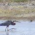 Bundala National Park