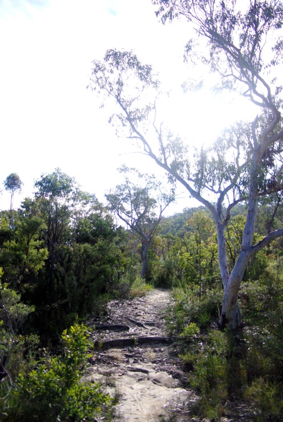new paths on an old road new paths on an old road