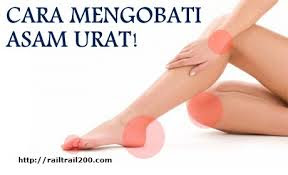 obat alami sembuhkan asam urat