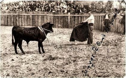 CANGAS DE ONIS CORRIDA DE TOROS