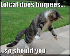 Burpee Cat