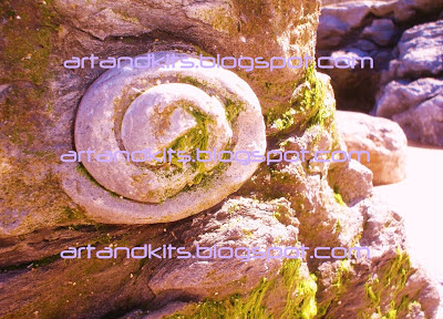 Fóssil de Concha / Fossil Shell Por vezes, a concha mais grosseira encerra a pérola mais preciosa. / Sometimes, the grossest shell encloses the most precious pearl.