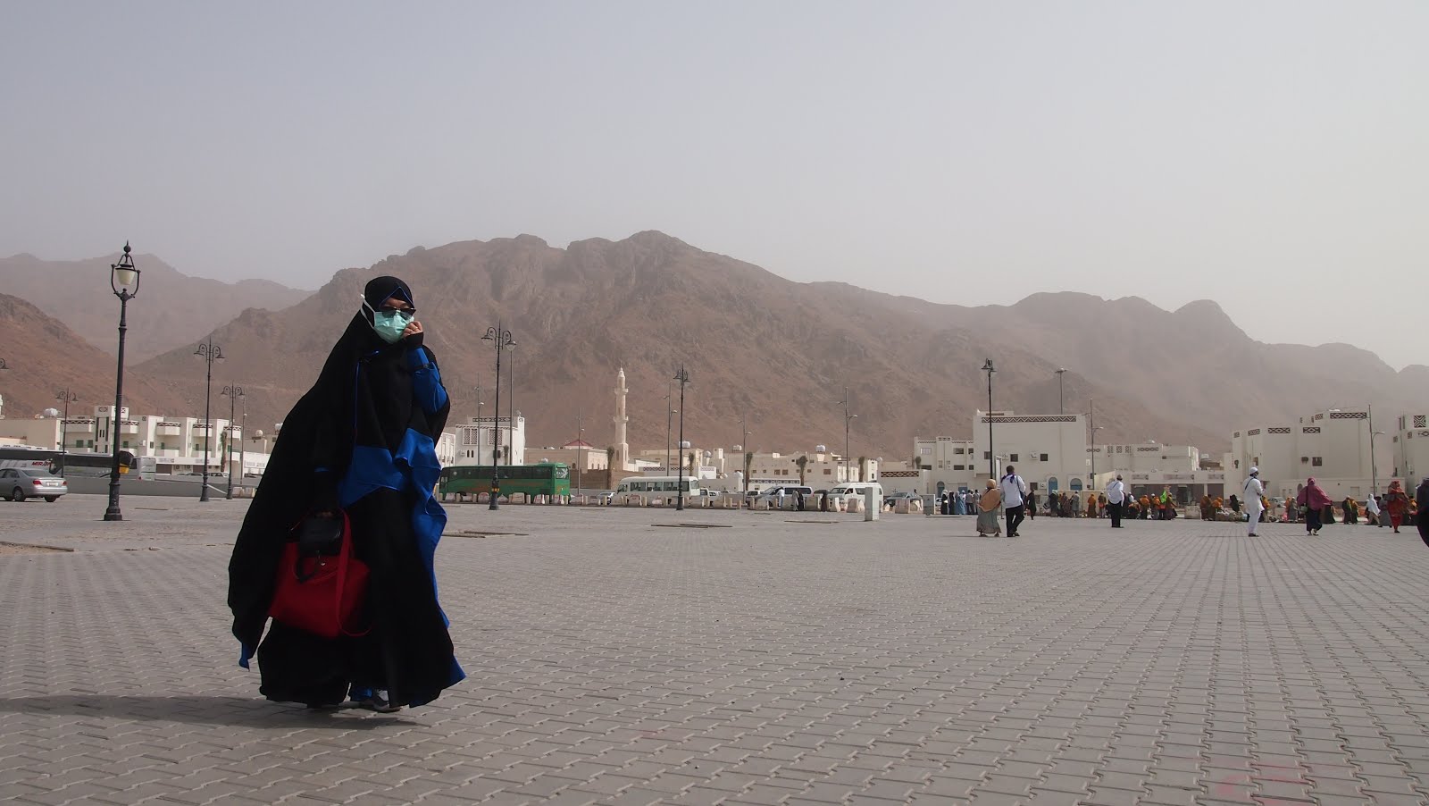 Jabal Uhud (Feb 2018)