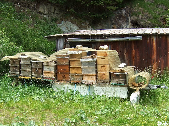 Bienenstand auf einer Alm