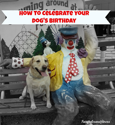yellow+lab+with+clown.jpg