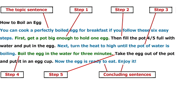 Process and procedure essay example