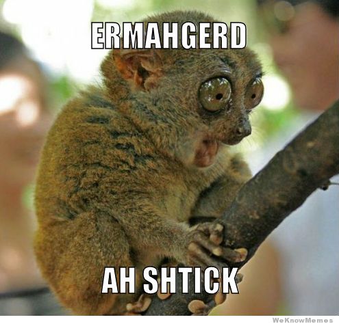Funny Animal Memes Funny Animal Memes