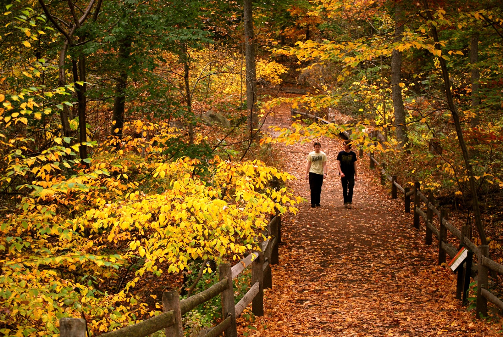 NYC ♥ NYC Autumn Foliage at the New York Botanical Garden