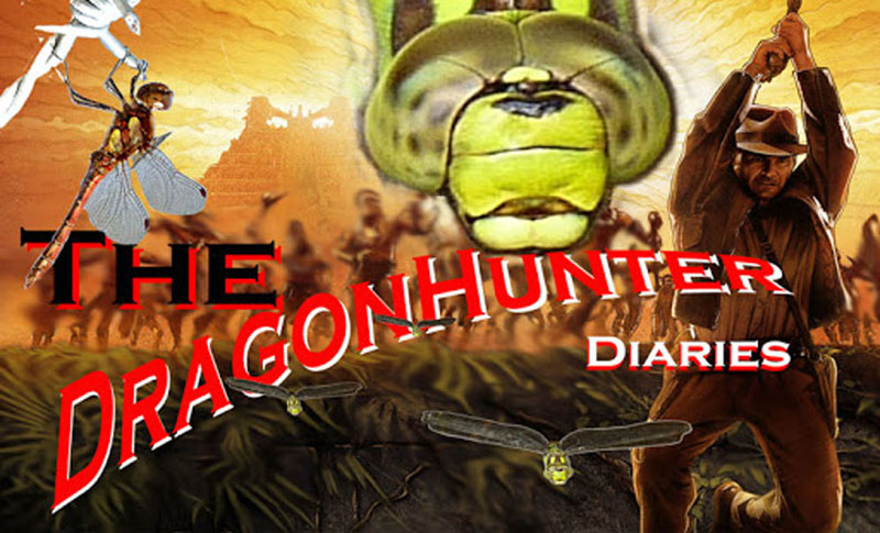 The dragonhunter diaries