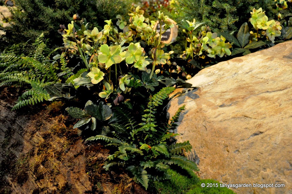 MySecretGarden: Northwest Flower & Garden Show - 2015. Several Gardens